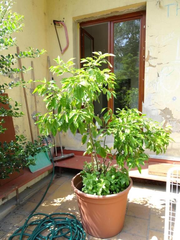 Garden Apartment On Art Nouveau Street In Central Прага Екстериор снимка